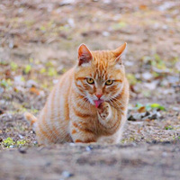 �����С��Ҳ����ʡ�͵ĵ�