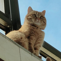 �̲�סҪ��ҫһ���ɰ����ˣ�