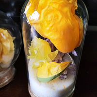 �ɻ�2.0�м���������С��Ʒ