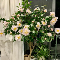 ˭�������軨�����ˣ��ҵģ�