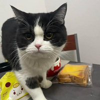 ��ʶһ���Ҵ�磺�ֻ�