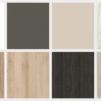 ��ŵ˹�����Ż�ɫ�������ϼ�