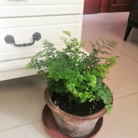 ����һ�������ާ Խ��Խ����