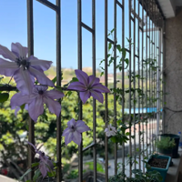 ���˽ӽ�1���������������