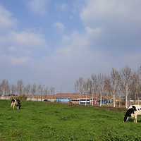 3´