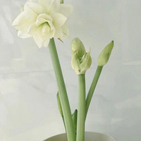 �ҵİ����׿����ˣ������䵽�Ķ��뿪