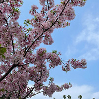 ����ɽ������һ��ӣ����������ӣ����Ȼ��û��ȫл