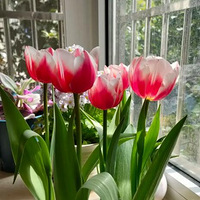 ��������Ļ����ˣ��������������ң��е�ͽ��