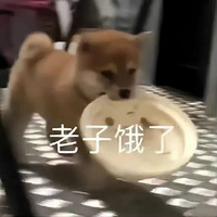 ţһгڸǵʳãžӰԻ