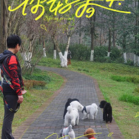 ��ã�����