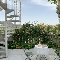 ʵ����������  ����ɽ���  ���Լ��Ļ������Լ�������