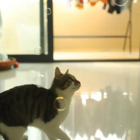 èè��һ��������