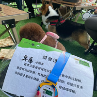 ����10�����������̫�����ˡ�