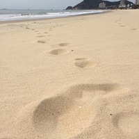 궬춼ں굺