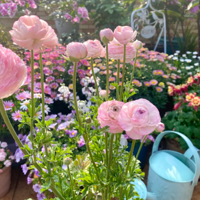 ��һ�γ��Ի�ëݢ ��ĺ���