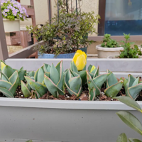 Ϊʲô �ҵ�������ͷ����Ӷ��м��ˣ���