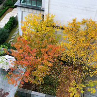 һ��DIY��ƴ��װ������~�Լ�һ�����ֻ��ߵ�ʵ��������ѧ~