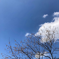 ϵСиˣɽٺȸ
