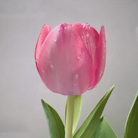 �ҵ������㿪������˵˵ˮ������������