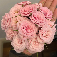 �ҵ�С�¼�������������