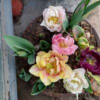 2023���ҵĻ����ݲ�