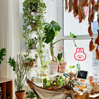 1.5ƽ��������̨����ֲ