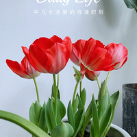 ��٪�塱���������ڳ����ˣ�����������е�����