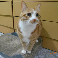 �����ˣ�����Ҳ��˯����