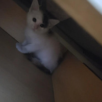 ɹһɹ�ҵĻ�������