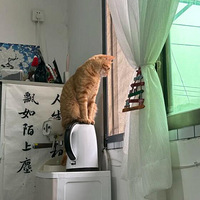 è��ˮ����ʮԪһ��