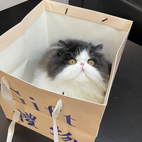 �������յ�˭���Ժ�