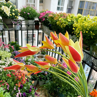 Ϊ�Լ������ʻ�