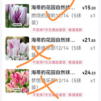 ���������Ч������