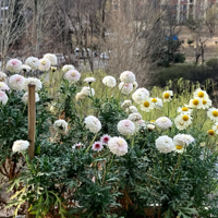 ��һ��������ذ�