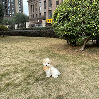 ��������ܵ�̩��