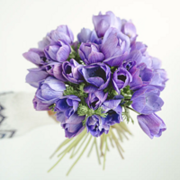 ��������ĺ���������û������ô������ɫ