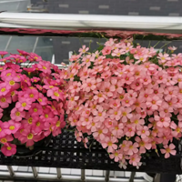 �����ݼ���лĻ����ëݢ��ʼ�ǳ�