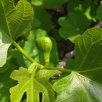 ���ɸ��ռǡ��ع������У���¥������������������¶ֵ̨��