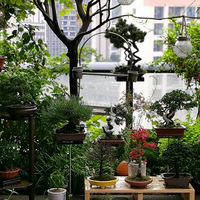 �������ˣ����︴��