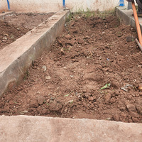 ��¼��СԺ�ĳɳ�