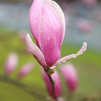 ��󻨶������޺���һ���ͻ��ɣ�