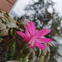 ������ǿ����ļ���