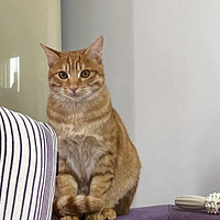 ��è�ǲ��Ƕ��лῪ�Ż���