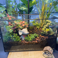 ΢���۵ĵ�����