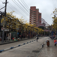 �������˰ٻ���ţ�����ʲô�����������ȫ�ǣ��Ƶû���Ϊ�Ǽٵ�