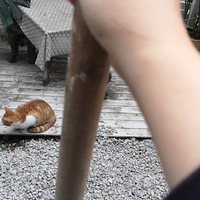 ¶̨�뻨԰2023�ֱ���һ������