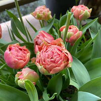 �ҵ���ĵ��������