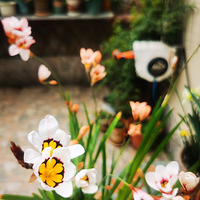 ����һ����ʶ������