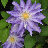 ���컨���ˣ�