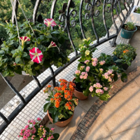 ���������˴��죬���ݹ���������